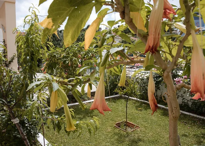 Appartamento Anna Maria