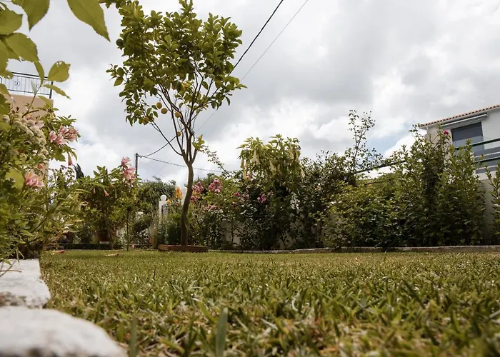 Anna Maria Lejlighed